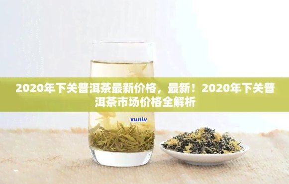 2020年下关普洱茶价格走势分析：最新价格、对比及购买建议