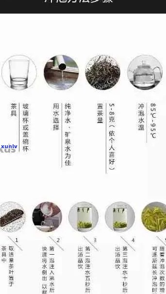 深入了解普洱茶：泡法、用量与口感的关系