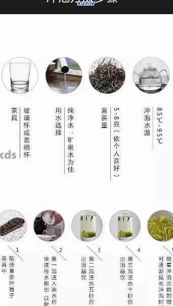 深入了解普洱茶：泡法、用量与口感的关系