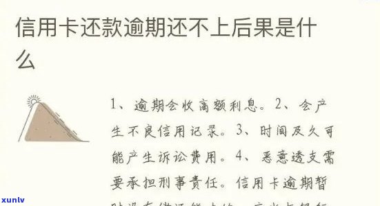 新逾期信用卡还款攻略：如何规划、应对及避免影响信用记录