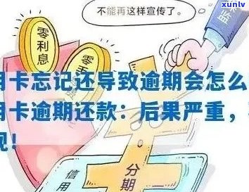 新逾期信用卡还款攻略：如何规划、应对及避免影响信用记录