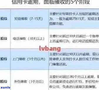 新逾期信用卡还款攻略：如何规划、应对及避免影响信用记录