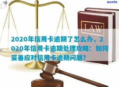 逾期信用卡申请攻略：如何有效处理逾期问题并快速办卡