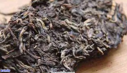 普洱茶的诞生年份及相关历背景解答