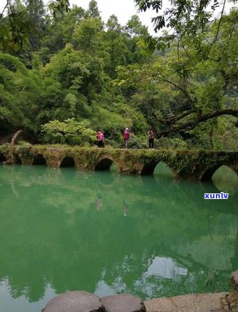 翡翠藤蔓雕花手镯价值评估及市场行情分析