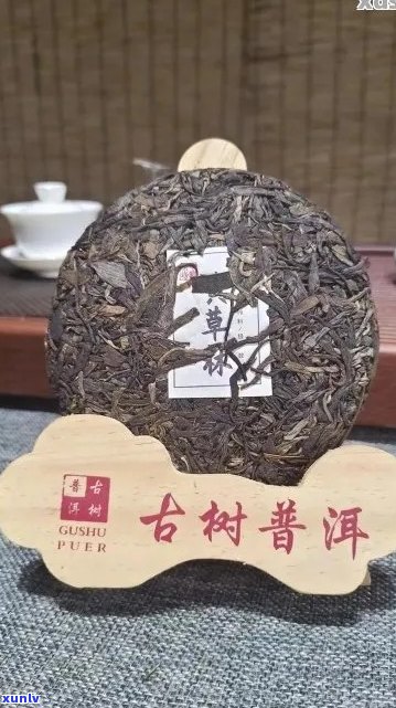 普洱茶勐库古树价格