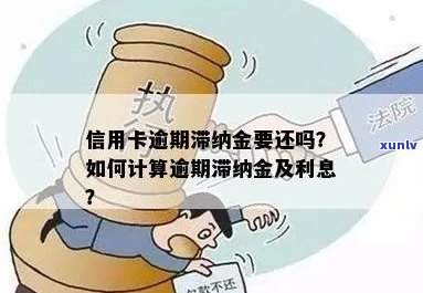 信用卡逾期还款后，利息和滞纳金如何计算？多久会被扣款？