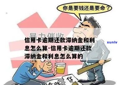 信用卡逾期还款后，利息和滞纳金如何计算？多久会被扣款？