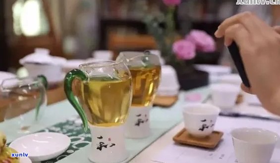 众品普洱茶品鉴会所：品味普洱茶的魅力与精髓