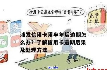 浦发信用卡逾期还款问题解决 *** ，如何应对？