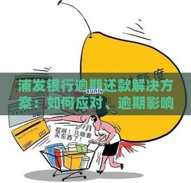 浦发信用卡逾期还款问题解决 *** ，如何应对？