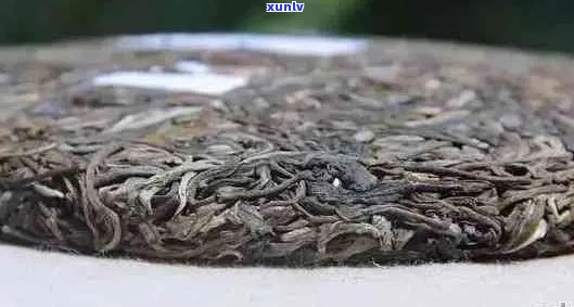 普洱茶的纯料有哪些：优质普洱茶推荐与解析