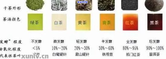 探究普洱茶纯料的多种类型及其特点