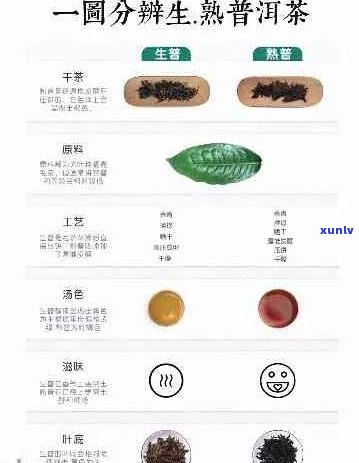 探究普洱茶纯料的多种类型及其特点