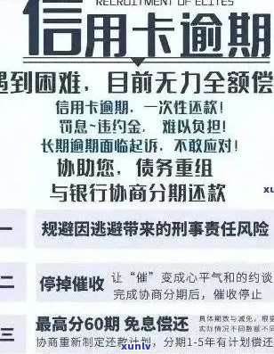 信用卡逾期还款困境：百万债务如何应对？