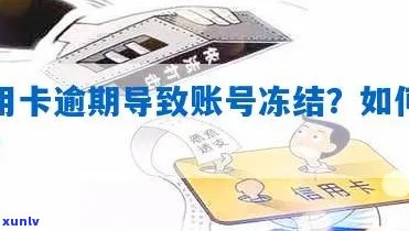 由于信用卡逾期，账户被冻结：如何解决问题？