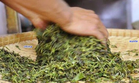 云南勐海大叶茶厂：大叶普洱茶叶的品质、 *** 工艺与市场价格全解析