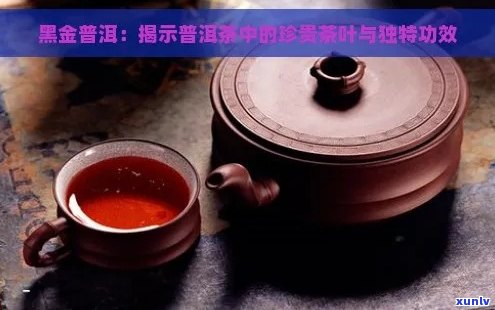 黑金刚普洱茶怎么泡好喝：一步到位的冲泡技巧与秘诀