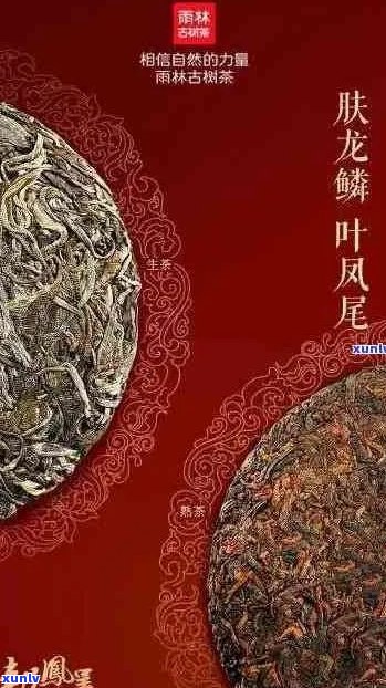 云南龙凤呈祥普洱茶：品质、产地、冲泡 *** 及健益处全解析