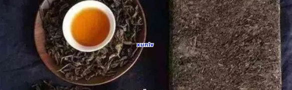 黑金刚普洱茶怎么泡