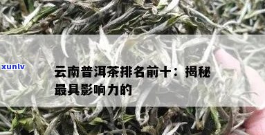 云南好的普洱茶排行：优质茶叶盘点