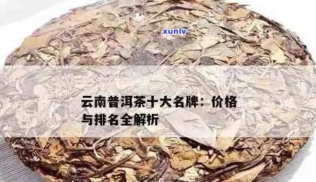 新云南十大知名普洱茶排名榜 - 品质与口感的完美融合