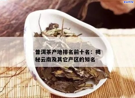 新云南十大知名普洱茶排名榜 - 品质与口感的完美融合