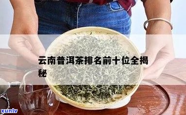 新云南十大知名普洱茶排名榜 - 品质与口感的完美融合