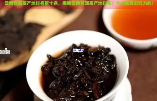 新云南十大知名普洱茶排名榜 - 品质与口感的完美融合