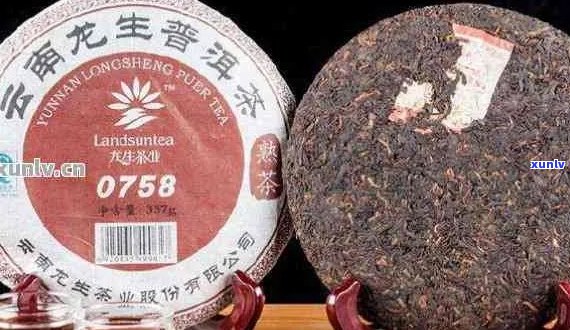 云南普洱茶名牌汇总：品质与口碑并存，哪个牌子更受欢迎？