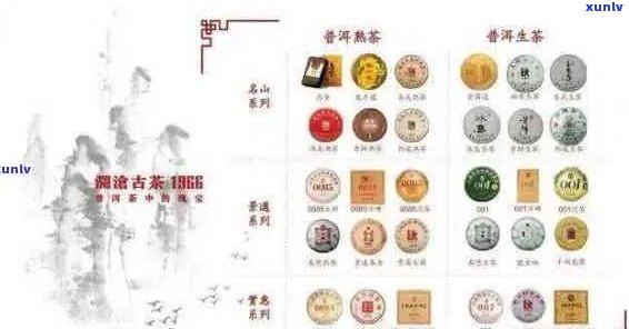 云南普洱茶名牌汇总：品质与口碑并存，哪个牌子更受欢迎？