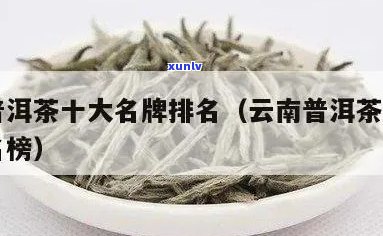 云南普洱茶推荐：品质的茶叶排行榜