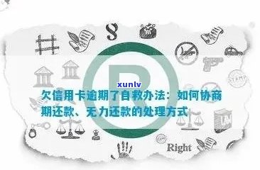 信用卡逾期：无力偿还的解决办法及协商流程