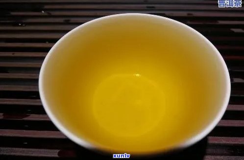 新 探究普洱茶豆香的独特魅力：其香型特征与口感体验