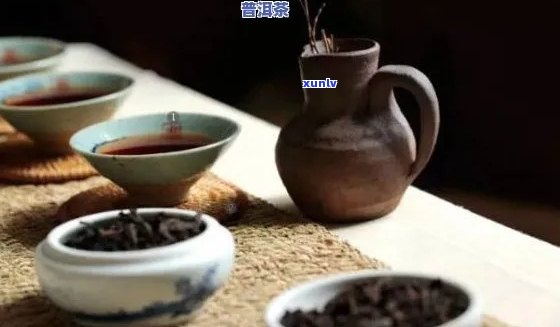 新 探究普洱茶豆香的独特魅力：其香型特征与口感体验