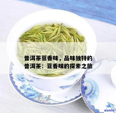 新 探究普洱茶豆香的独特魅力：其香型特征与口感体验