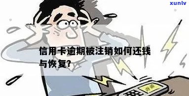 六年前信用卡逾期还款后已注销，如今如何重新激活与处理？