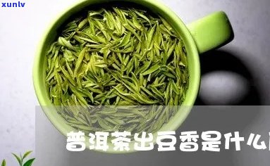 普洱茶豆香是什么香