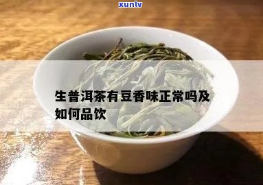 普洱茶豆香是什么香