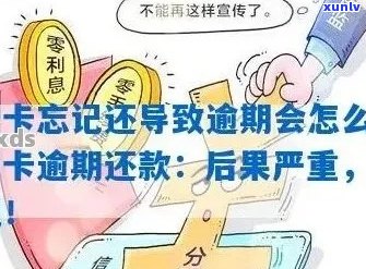 信用卡逾期还款申诉攻略：解决不良信用记录的有效途径