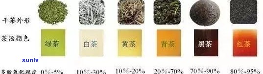 新普洱茶中的籽粒成分解析：它们为何如此重要？