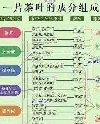 新普洱茶中的籽粒成分解析：它们为何如此重要？