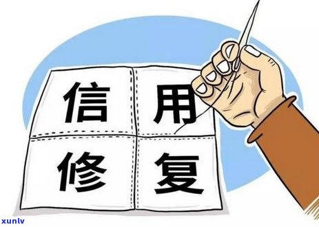 信用卡逾期还款申诉全攻略：如何有效应对、解决问题并避免信用损失