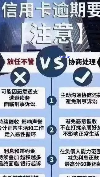 信用卡逾期申诉全方位指南：如何处理逾期、申诉流程及常见疑问解答