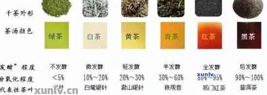 探寻普洱籽：形态特征、功效及品鉴技巧全解析