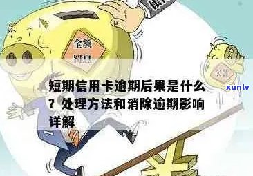 信用卡逾期免息结清：含义、条件、影响及如何处理的全面指南