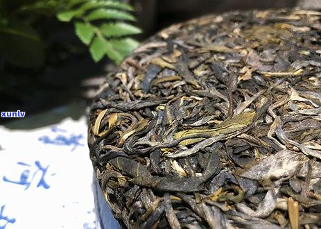 普洱茶对体寒体质的影响：长期饮用是否导致体寒及可能的后果详解