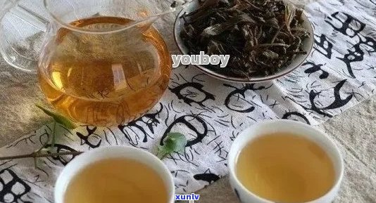 '普洱茶：瘦身良方还是伤胃风险？瘦人如何安全饮用'