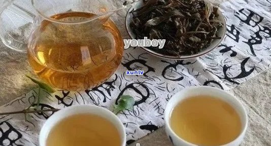 瘦人适合喝普洱茶不