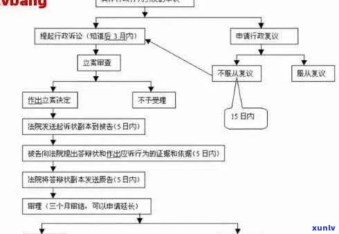 信用卡逾期诉讼地点及程序全面解析：法院选择、起诉流程与判决结果